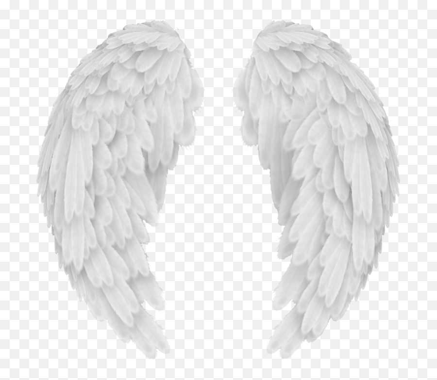 White Angel Wings Png 45145 - Png Images Pngio Transparent Background Angel Wings Png,Wing Png