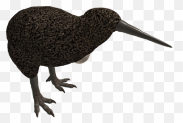 Unioned Kiwi Bird U0026 Egg - Roblox Hummingbird Png,Kiwi Bird Png