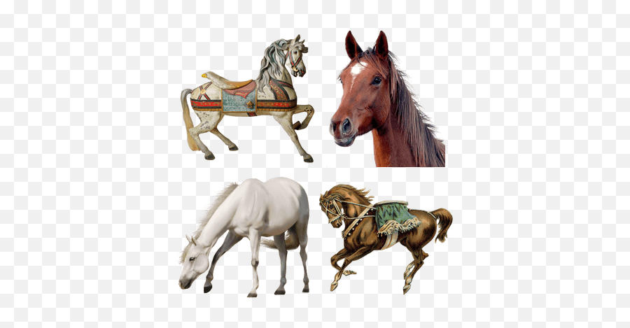 Horses Transparent Png Images - Stickpng Horse Transparent Background,Horse Transparent Png