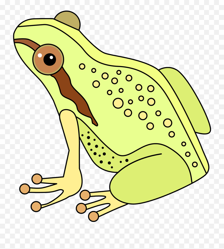 Frog Clipart - Rana Clipart Png,Frog Clipart Png