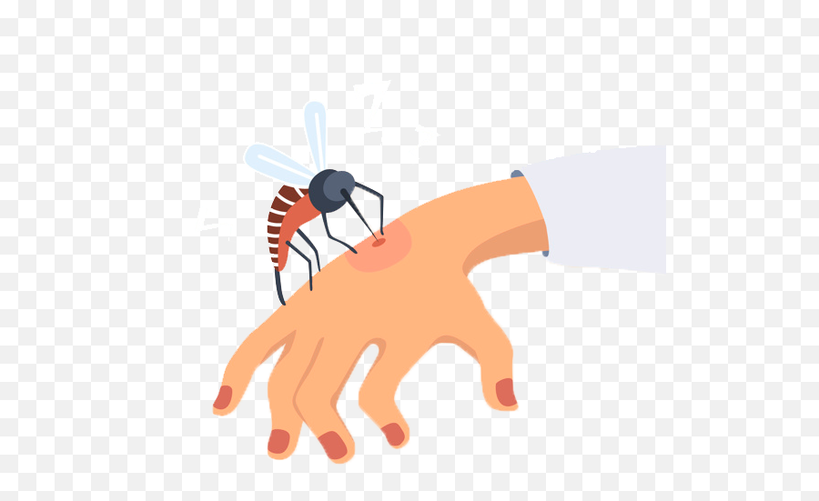 Mosquito Bite Clipart Transparent - Mosquito Bite Clipart Png,Bite Png