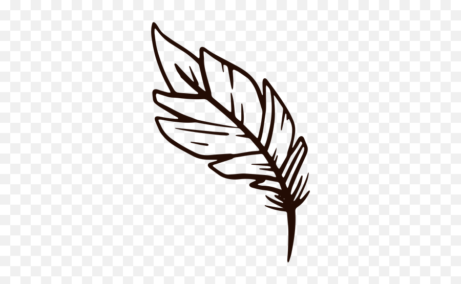 Quill Feather Hand Drawn - Transparent Png U0026 Svg Vector File Clip Art,Quill Png
