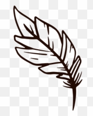 Quill Feather Hand Drawn - Transparent Png U0026 Svg Vector File Clip Art,Quill Png