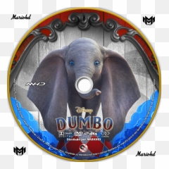 Coversmovies Dumbo - Dumbo Movie Png,Dumbo Png