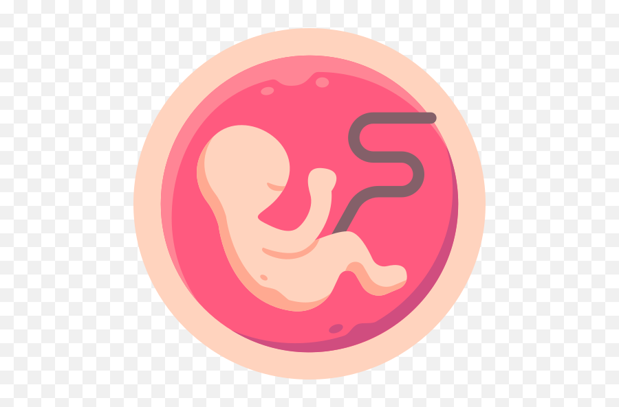 Embryo - Embryo Icon Png,Embryo Png