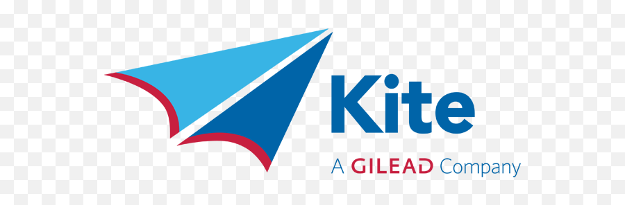 Application Process - Kite A Gilead Company Png,Kite Transparent Background