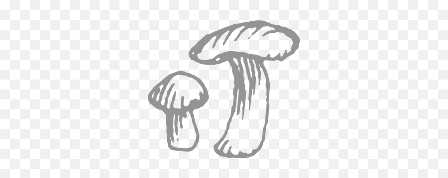 Icon - Wild Mushroom Png,Mushroom Icon