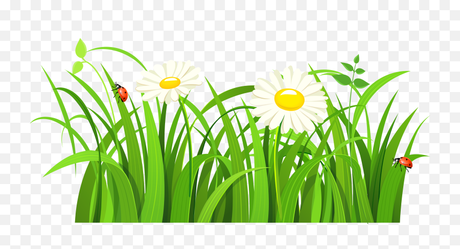 Download Hd Lady Bugs Png Clipart - Green Grass Vector Png Grass Vector Png,Bugs Png