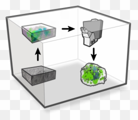 What We Do - ALLEN CELL EXPLORER Vertical png