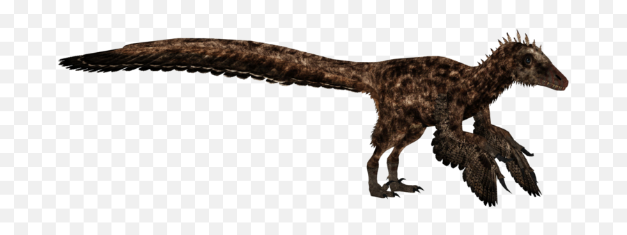 Utahraptor Ostrommaysorum - Zt2 Utahraptor Png,Zoo Tycoon 2 Icon