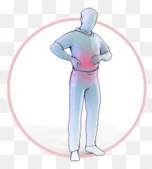 Etc Kidney Transplant - Illustration png