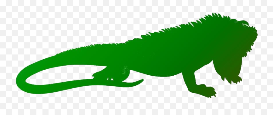 Iguana Png Transparent Image For Download Pngimagespics Icon