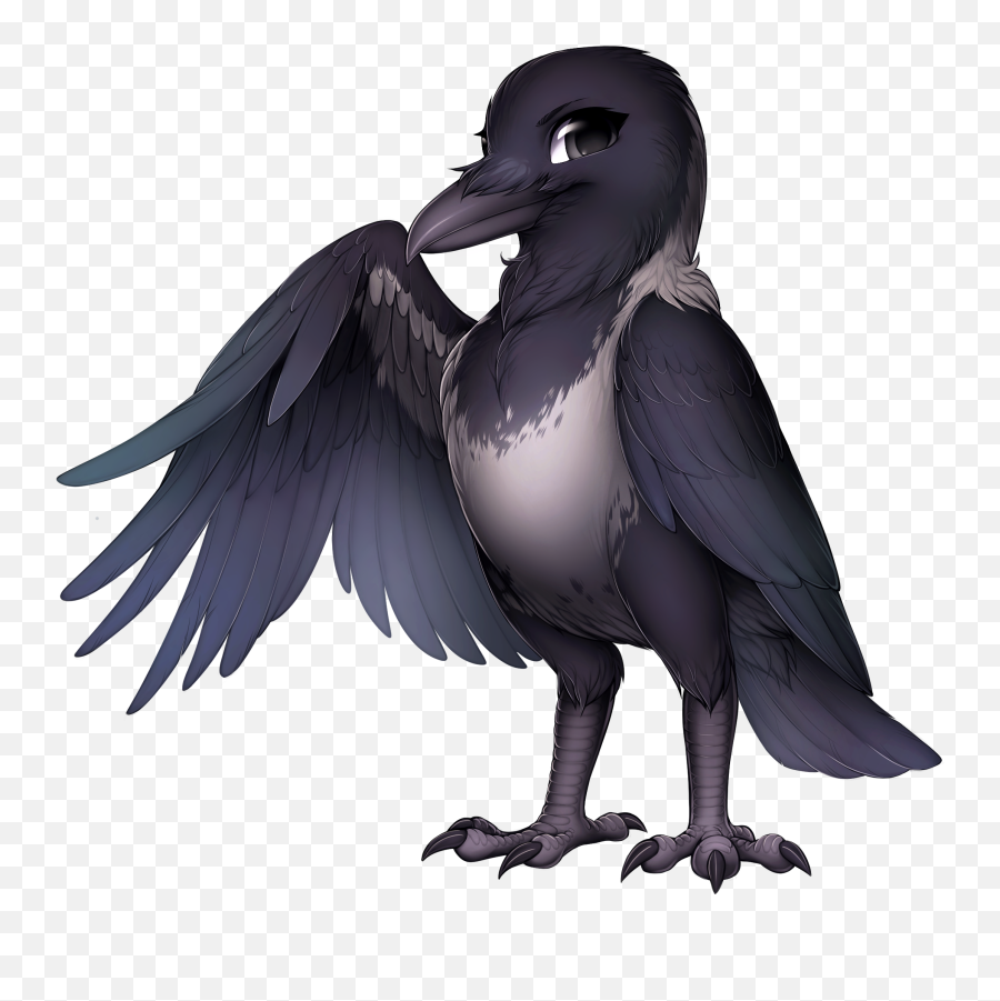 Download Corvid Hooded Crow - Magpie Furvilla Full Size Raptor Base Drawings Transparent Png,Crow Transparent Background