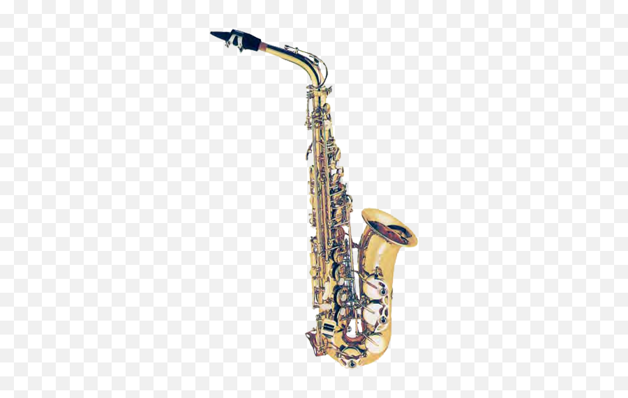 Fontaine Alto Saxophone Eb Wcase - Alto Saxophone Png,Saxophone Transparent