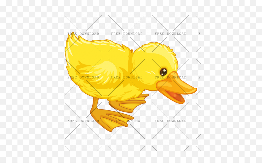 Duck Goose Swan Bird Png Image With - Bebek Kartun Png,Ducks Png