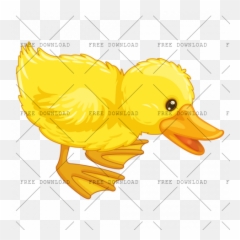 Duck Goose Swan Bird Png Image With - Bebek Kartun Png,Ducks Png
