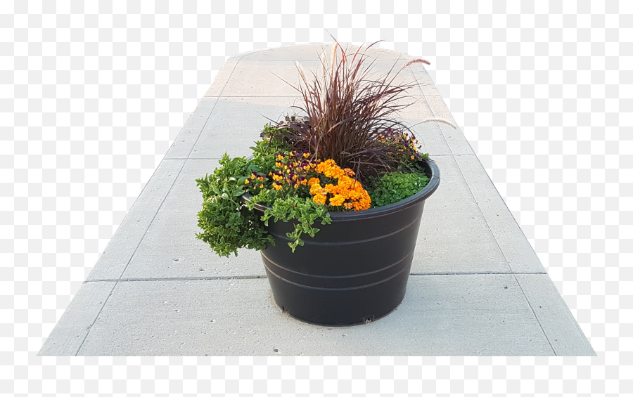 Download Hd Qmps Planter Pots Are A - Flowerpot Png,Planter Png