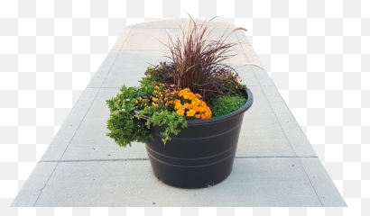 Download Hd Qmps Planter Pots Are A - Flowerpot Png,Planter Png