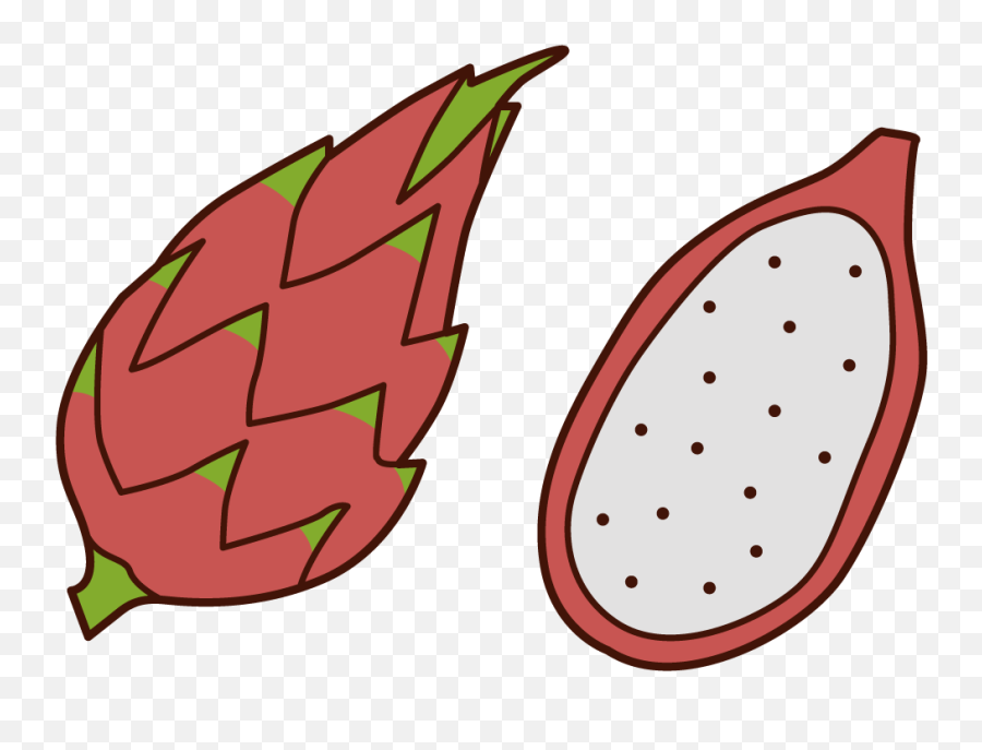 Dragon Fruit Illustrations Gariton Kids - Illustration Png,Dragon Fruit Png