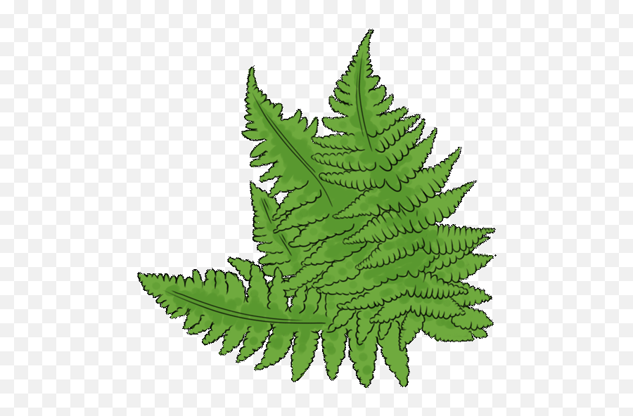 The Bronze Age In North Of Scotland Png Ferns