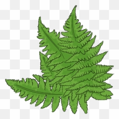 The Bronze Age In North Of Scotland Png Ferns