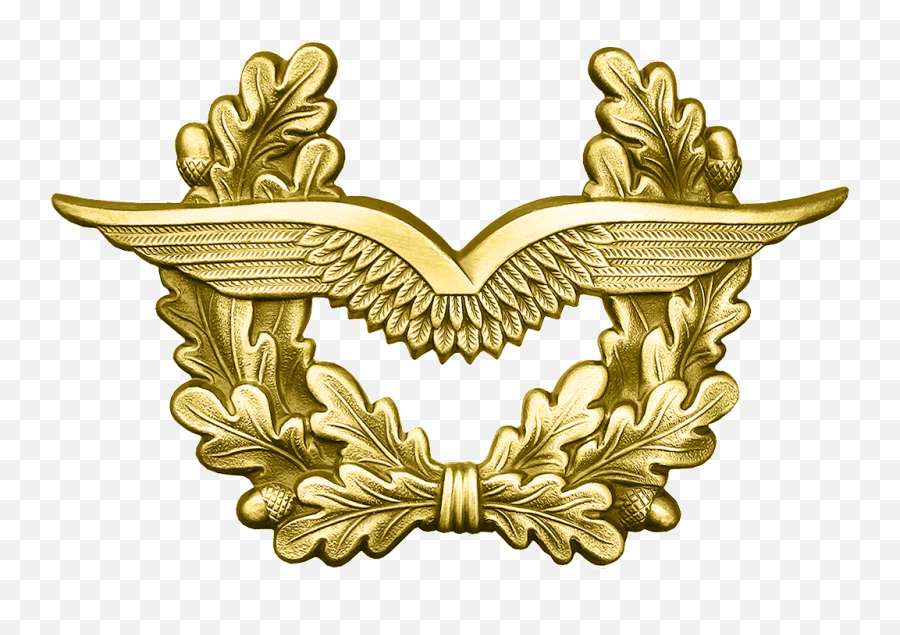 Bw Schirmmütze Luftwaffe Gold - German Airforce Eagle Png,Gold Png