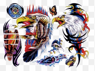 Download Us Eagle Belly Tattoo Design Photo - Flash Designs Colour png