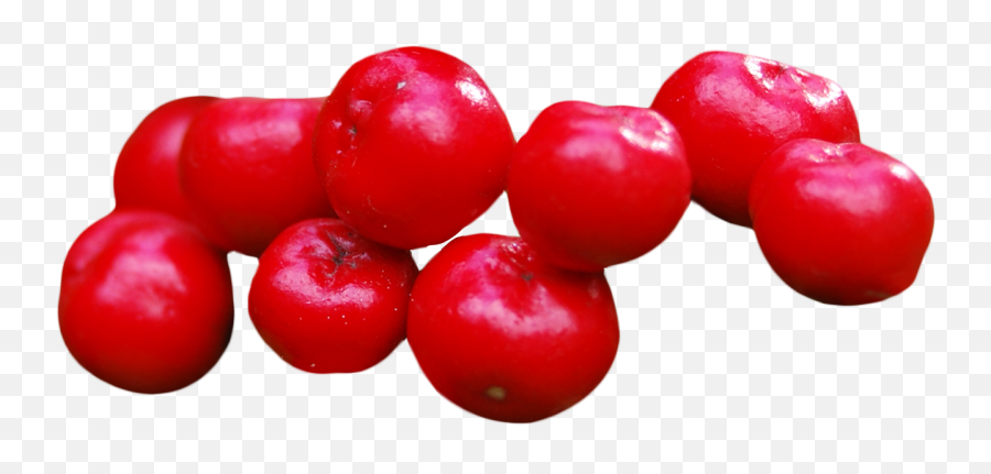 Cranberries Png Image - Superfood,Cranberries Png