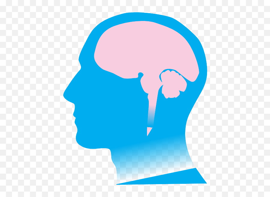 One To The Brain - Swat Vault Survival Weapons And Tactics Hair Design Png,Head Brain Icon