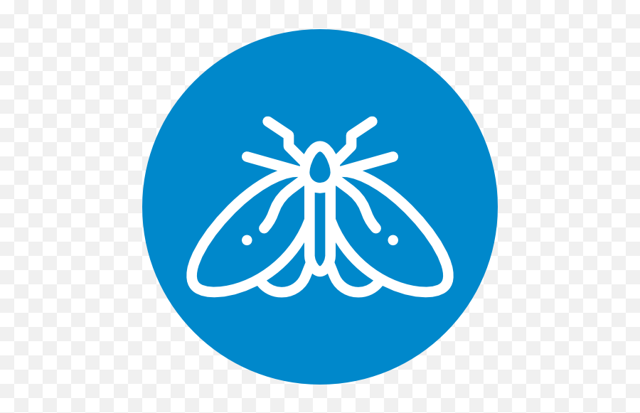 Moths Treatment Plan Bullseye Pest Defense - Dot Png,Moth Icon