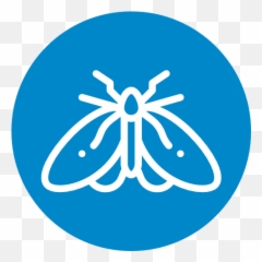 Moths Treatment Plan Bullseye Pest Defense - Dot png