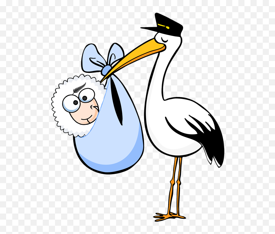 How Mysheep Works U2013 Mykiwisheep - Stork With Baby Clipart Png,Stork Icon