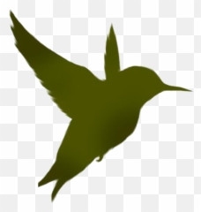 Transparent Flying Bird Png Icon Pngimagespics - Sillouette Black