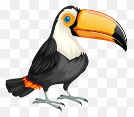 Toucan Bird Nature - Tucán Png,Tucan Png