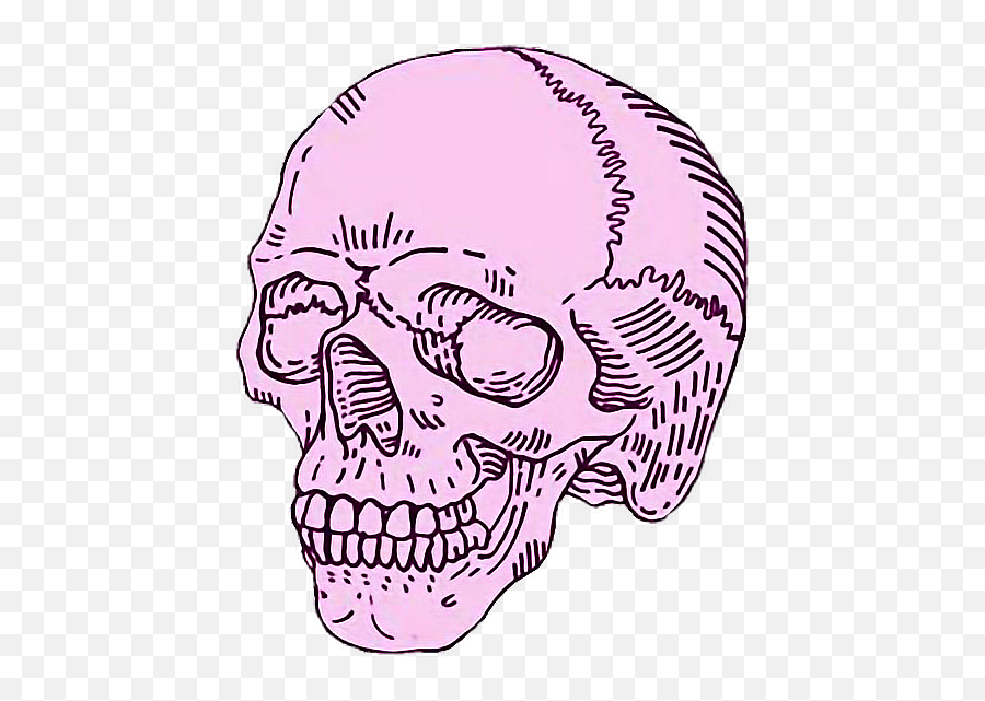 Skull Purple Outline Transparentbackground Freetoedit - Aesthetic Skull Png,Skull Transparent Background