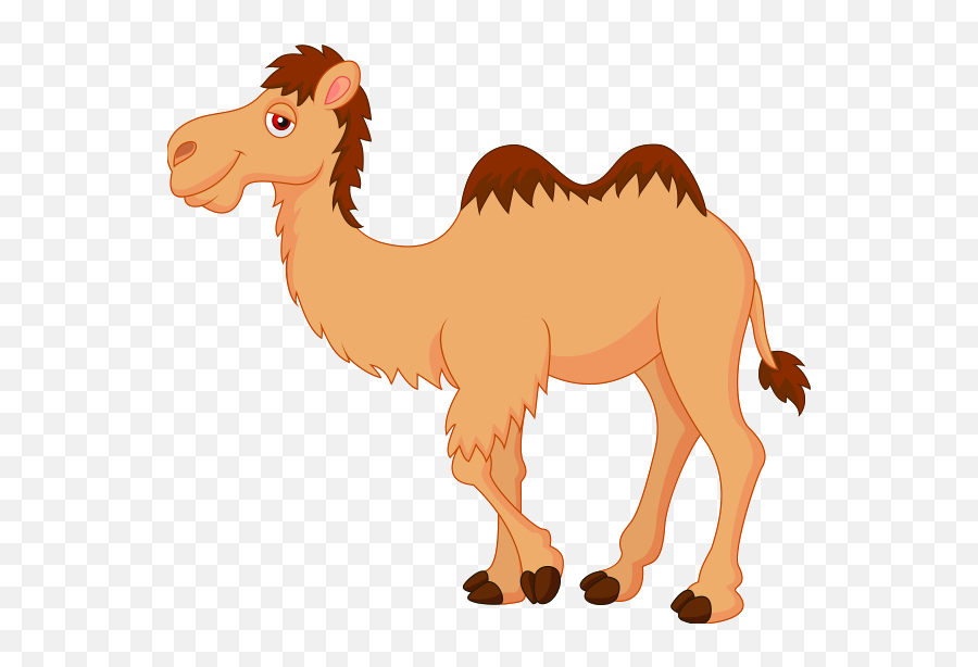 Camel Png Clipart - Camel Cartoon,Camel Png