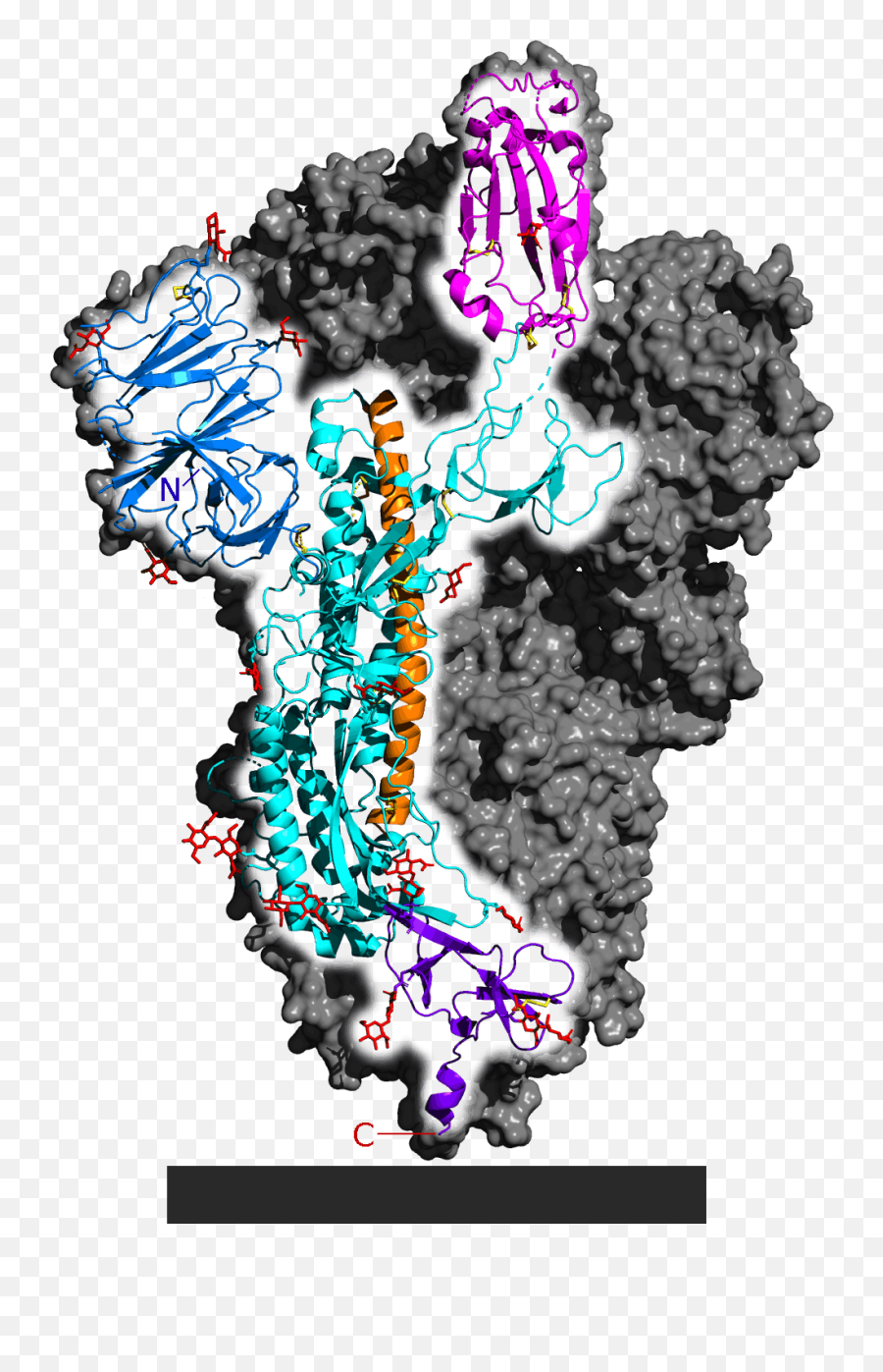 File6vsb Spike Protein Sars - Cov2 Monomer In Homotrimerpng Spike Protein Sars Cov 2,Copyright Png