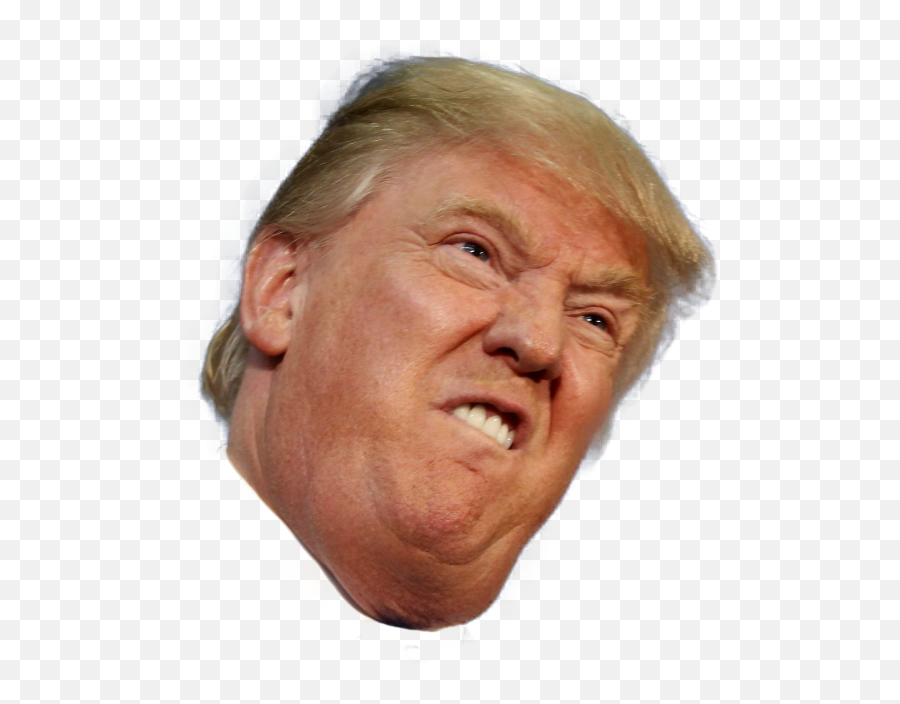Donald Trump Png Available In Different - Donald Trump Funny Face,Trump Png