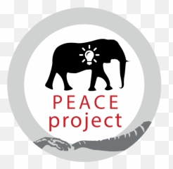 Volunteer With Elephants In Namibia Africa Elephant - Human Elephant Human Relations Aid Png,Elephants Png