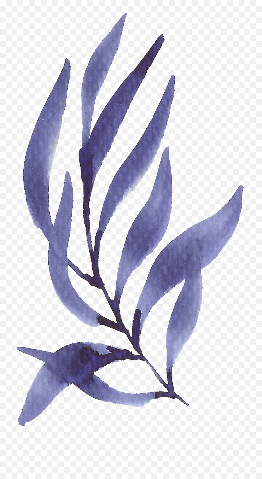 Hand Painted Purple Seaweed Watercolor Transparent - Seaweed Transparent Background Png,Purple Watercolor Png
