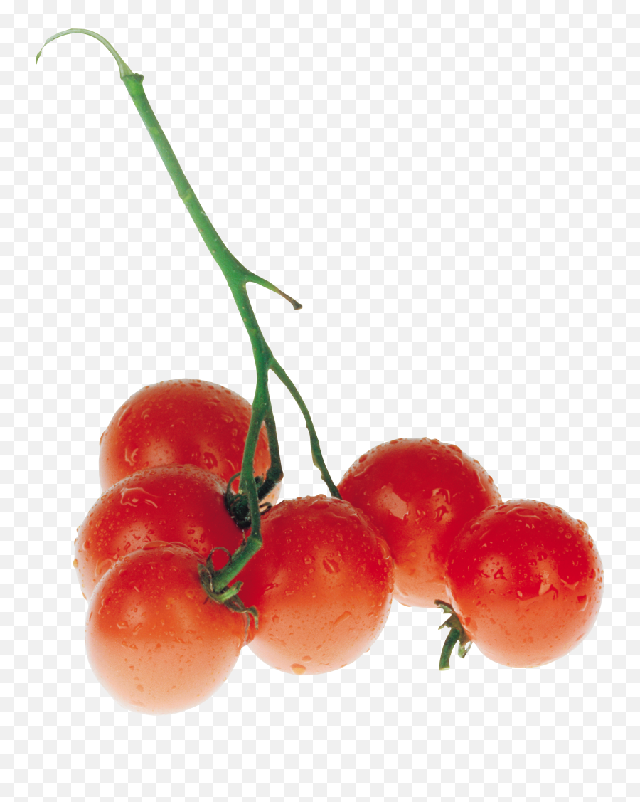 Red Tomatoes - Tomato Png,Tomatoe Png