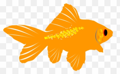 Fins Clipart Sea Life - Fish Under The Sea Creatures Clipart Clip Art Of Goldfish Png,Under The Sea Png