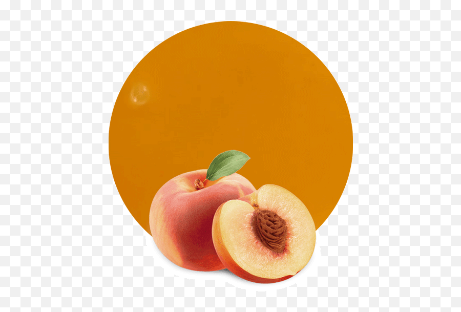 Peach Puree - Manufacturer And Supplier Lemonconcentrate Seedless Fruit Png,Peach Png