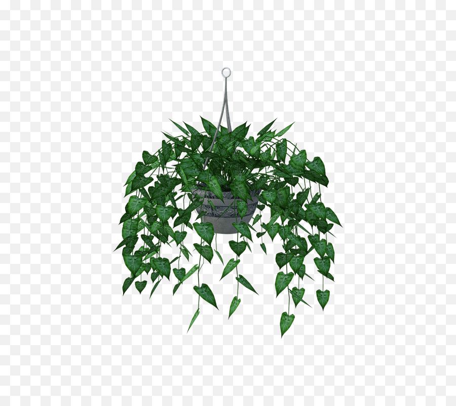 Hanging Plant Leaves Planter - Virtual Classroom Template Png,Planter Png