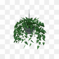 Hanging Plant Leaves Planter - Virtual Classroom Template Png,Planter Png