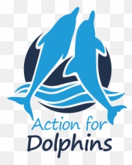 Australia For Dolphins Transparent Png - Action For Dolphins,Dolphins Png