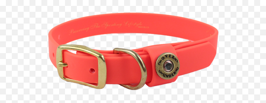 Over Under Water Png Dog Collar