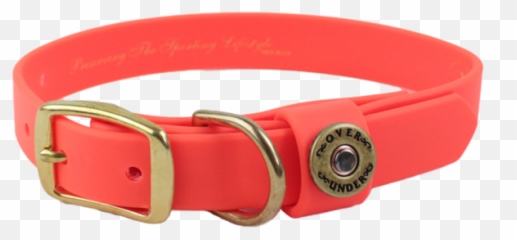 Over Under Water Png Dog Collar