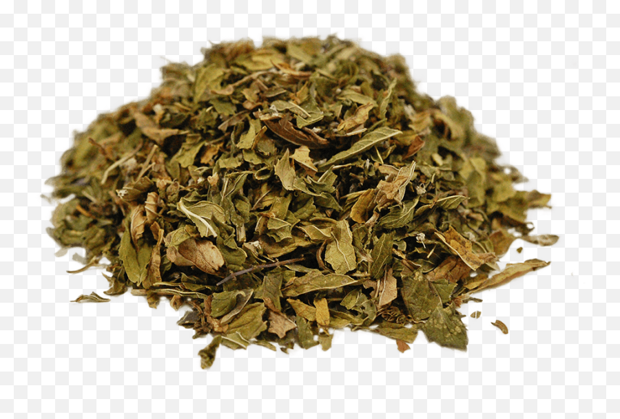 Organic Spearmint - Tamaryokucha Png,Herb Png