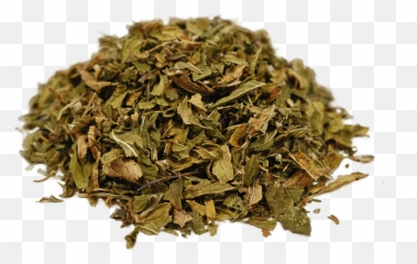 Organic Spearmint - Tamaryokucha Png,Herb Png